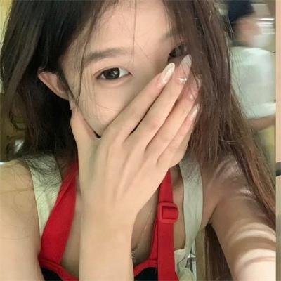 夏日的玫瑰